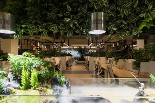 雨林景觀(guān)辦公室裝修設(shè)計(jì)